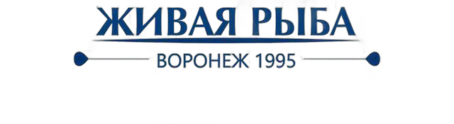 icon - /uploads/s/l/8/8/l88sbu69jnam/img/full_ZfPs8Bfo.png